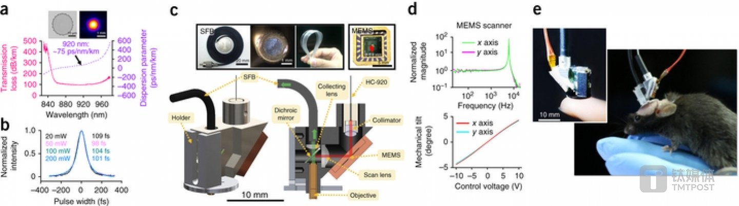 图为微型化双光子荧光显微镜的设计与组装(该成果研究论文已于5月29日发表在自然杂志子刊Nature Methods上,相关技术文档同步发表于Protocol Exchange,并已申请多项专利。)