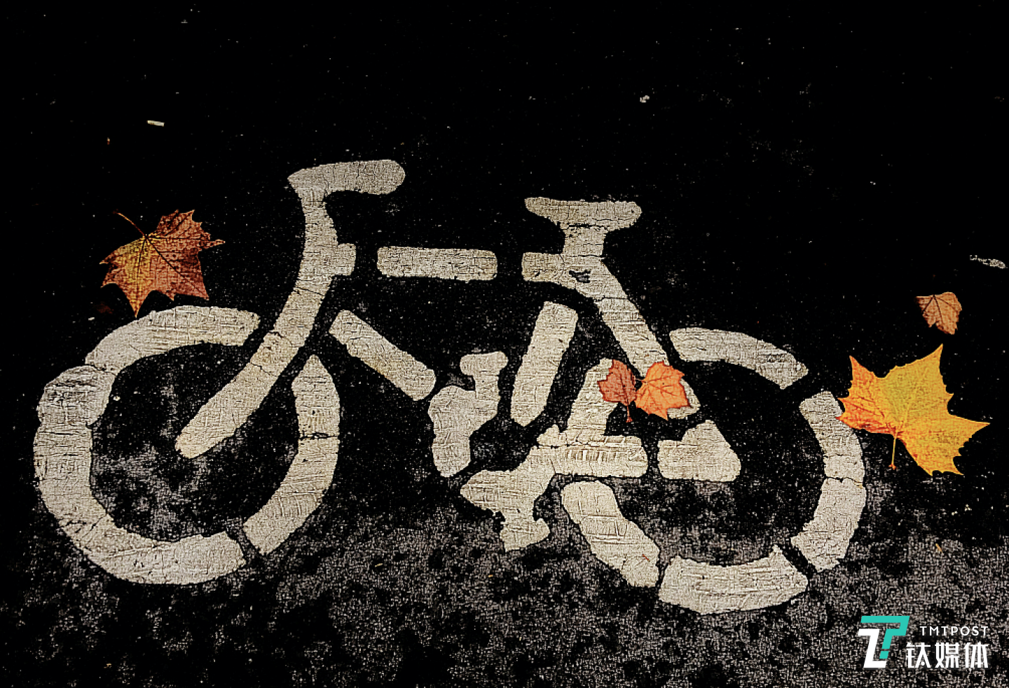 图片来源:视觉中国