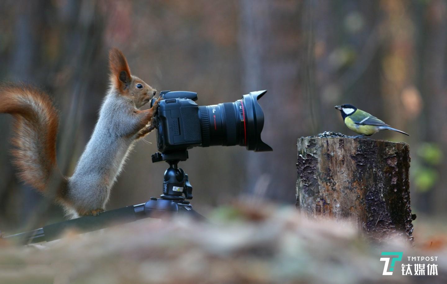 题图来自视觉中国，已授权钛媒体使用