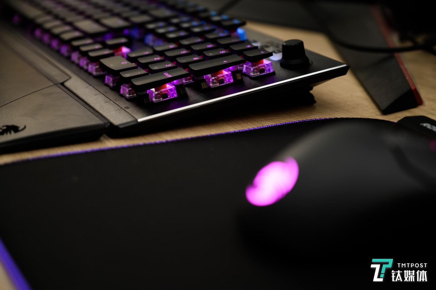 分离式掌托设计