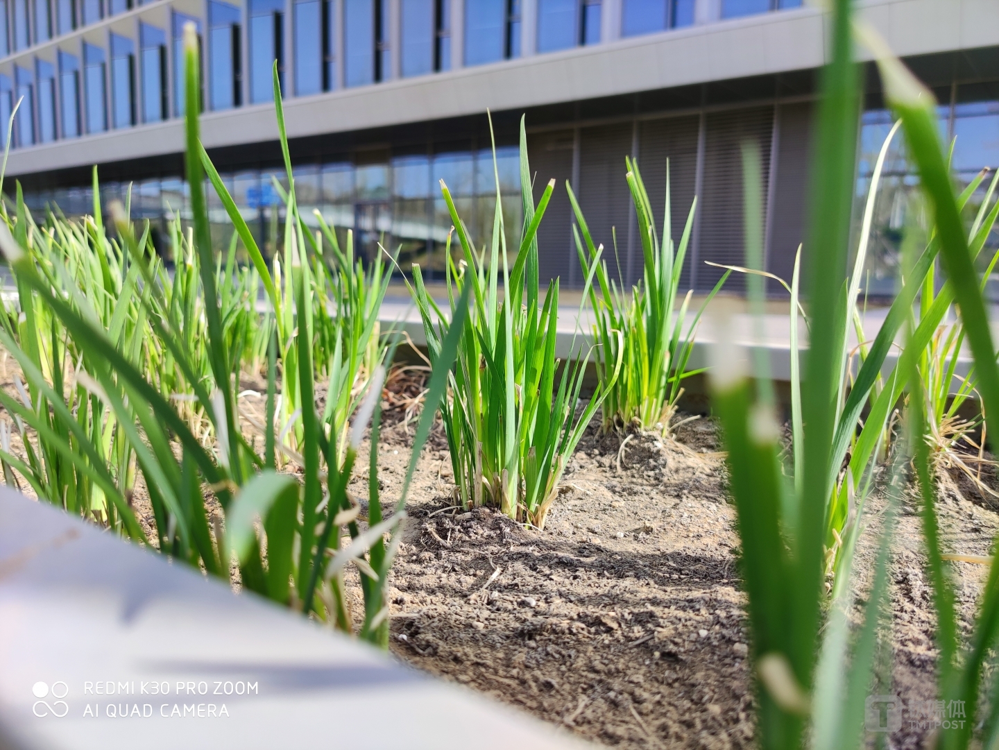 更多样张 焦距：5.58mm 光圈：f/1.6 快门：1/640 ISO：50