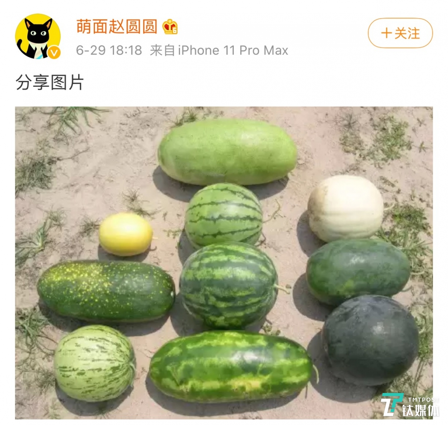 赵圆圆最新微博