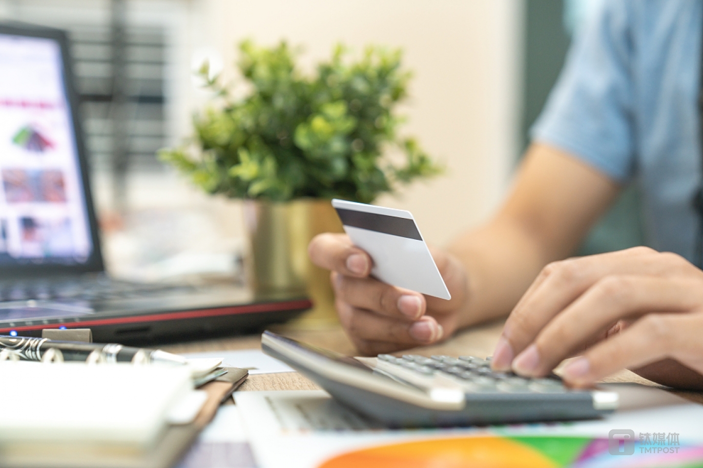 题图来源：视觉中国