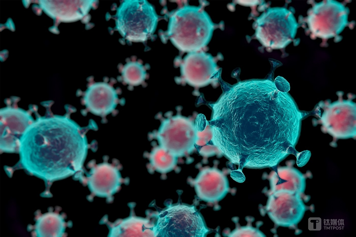 图片来源@全景视觉