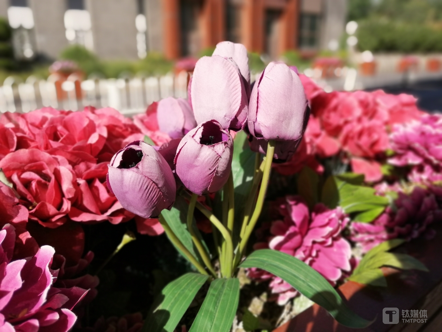 焦距：27mm 光圈：f/4.0 快门速度：1/1600s ISO：50