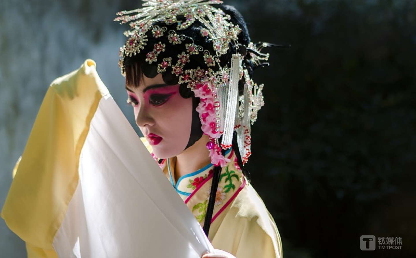 图片来源@视觉中国