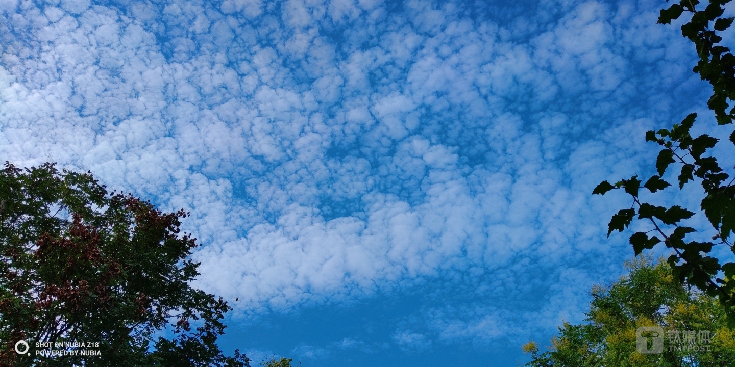 焦距：3.97mm 光圈：f/1.6 快门速度：1/1600s ISO：100