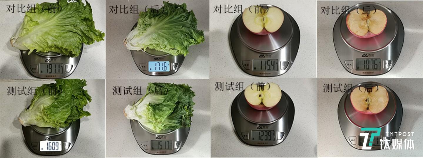 蔬菜水果保鲜测试