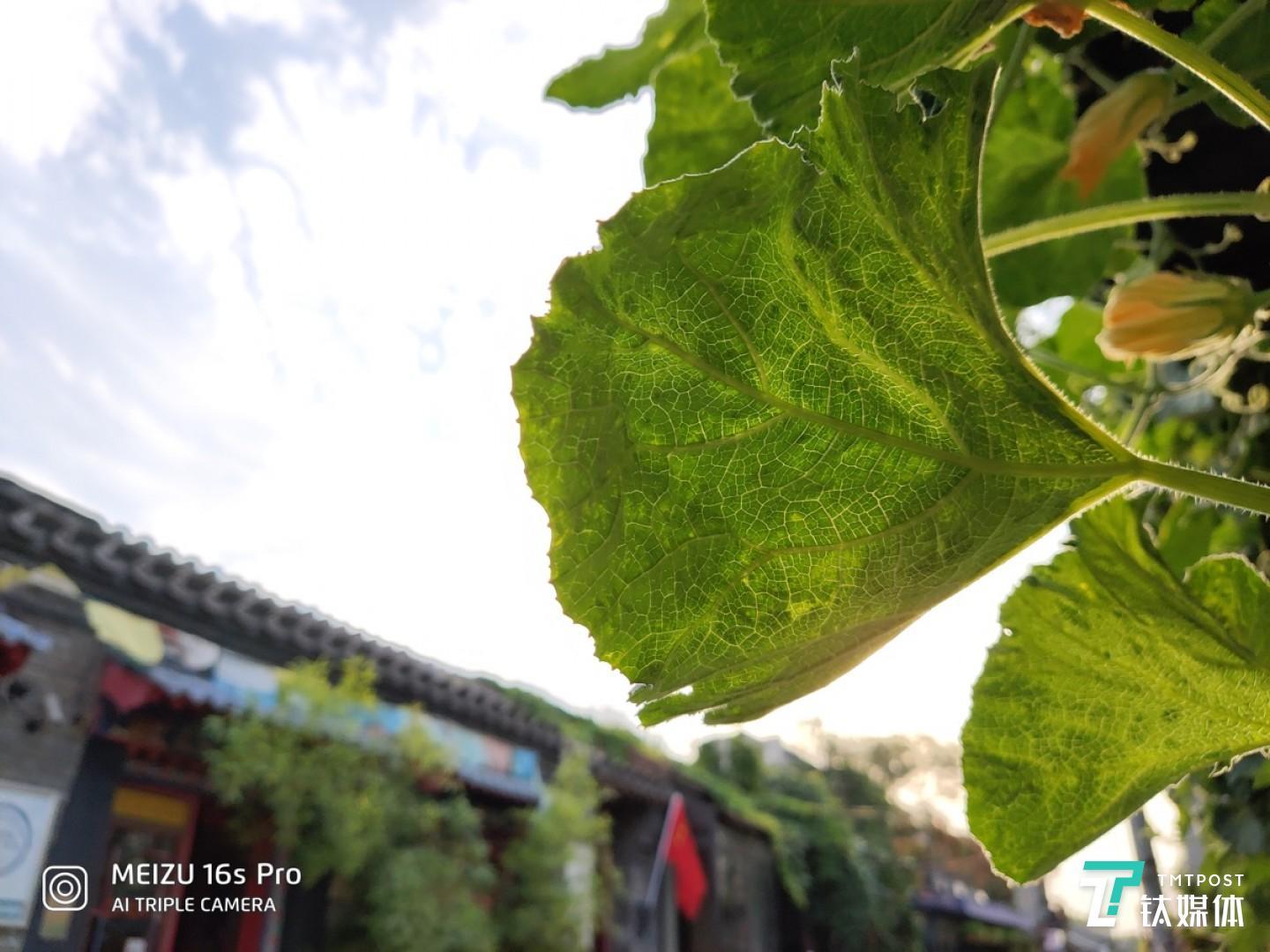 更多样张 焦距:2.24mm 光圈:f/2.2 快门速度:1/s ISO: