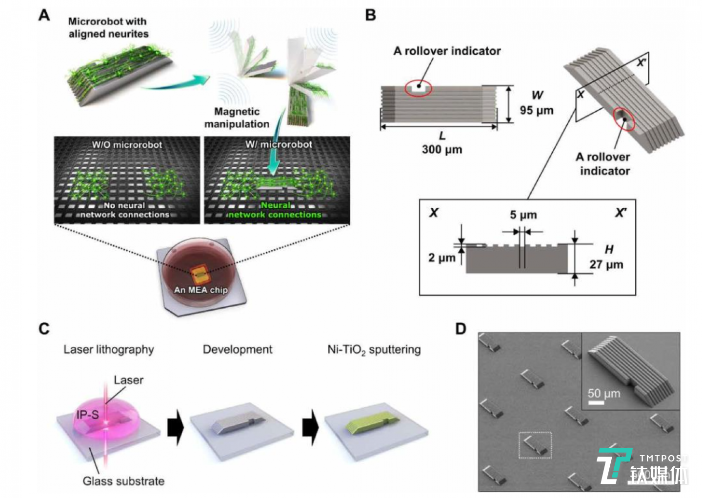 微型机器人的制造过程示意图（来源：论文）