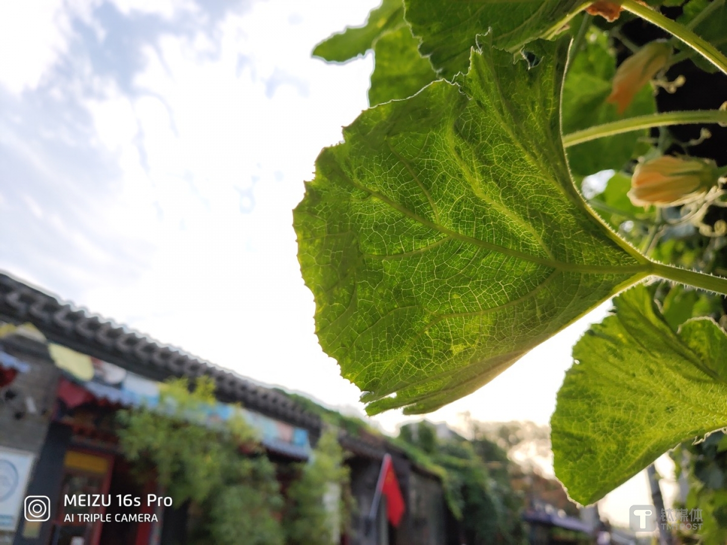 更多样张 焦距：2.24mm 光圈：f/2.2 快门速度：1/s ISO: