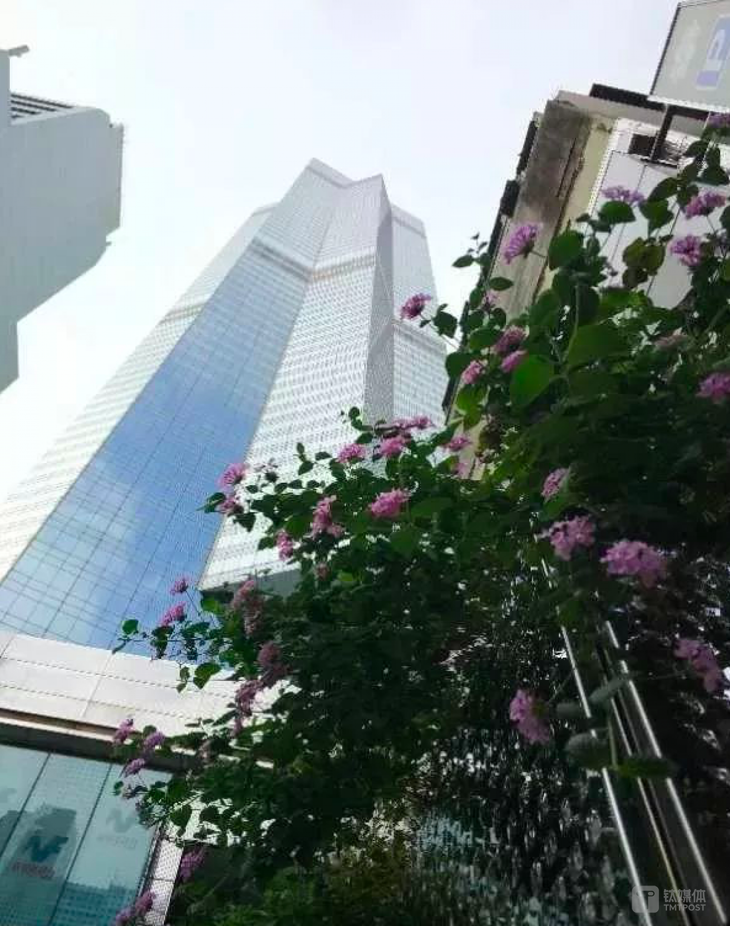 香港中环中心大厦  《等深线》记者 周远征 摄