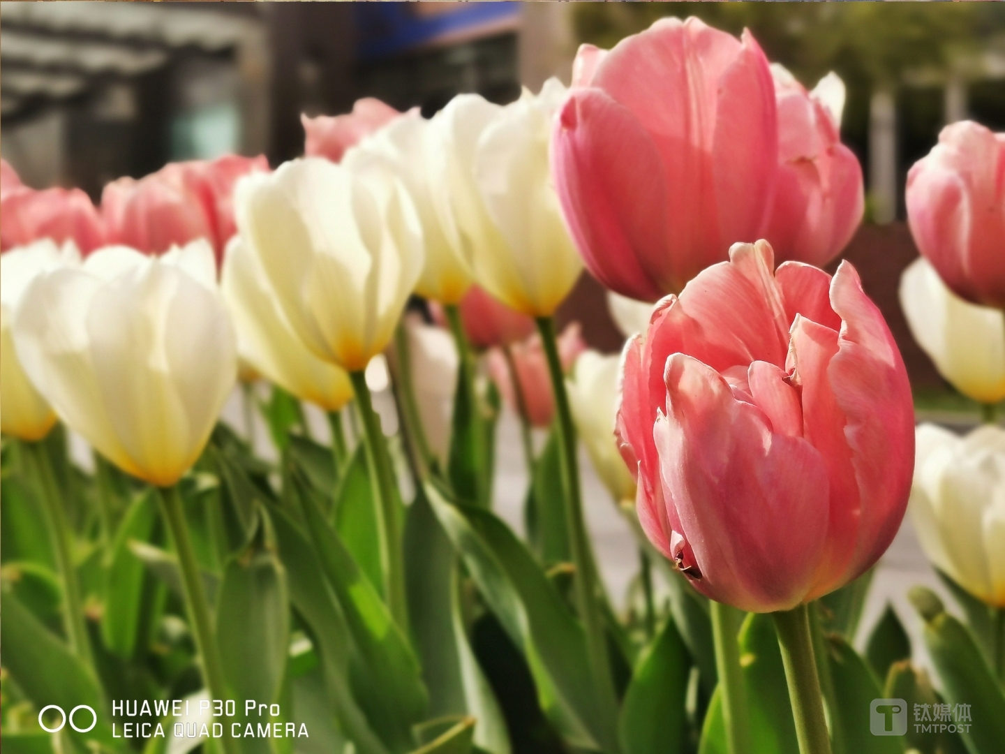 更多样张  焦距：mm（等效35mm焦距） 光圈：f/ 快门速度：1/s ISO: