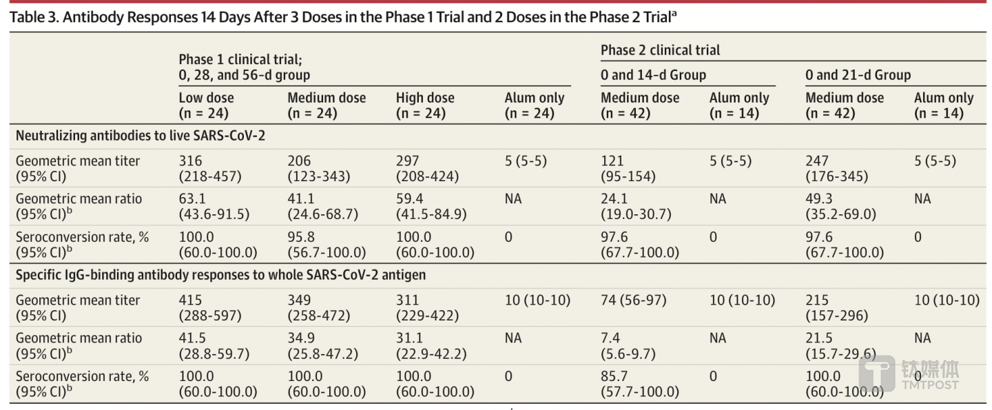 I期和II期的人体临床试验抗体反应