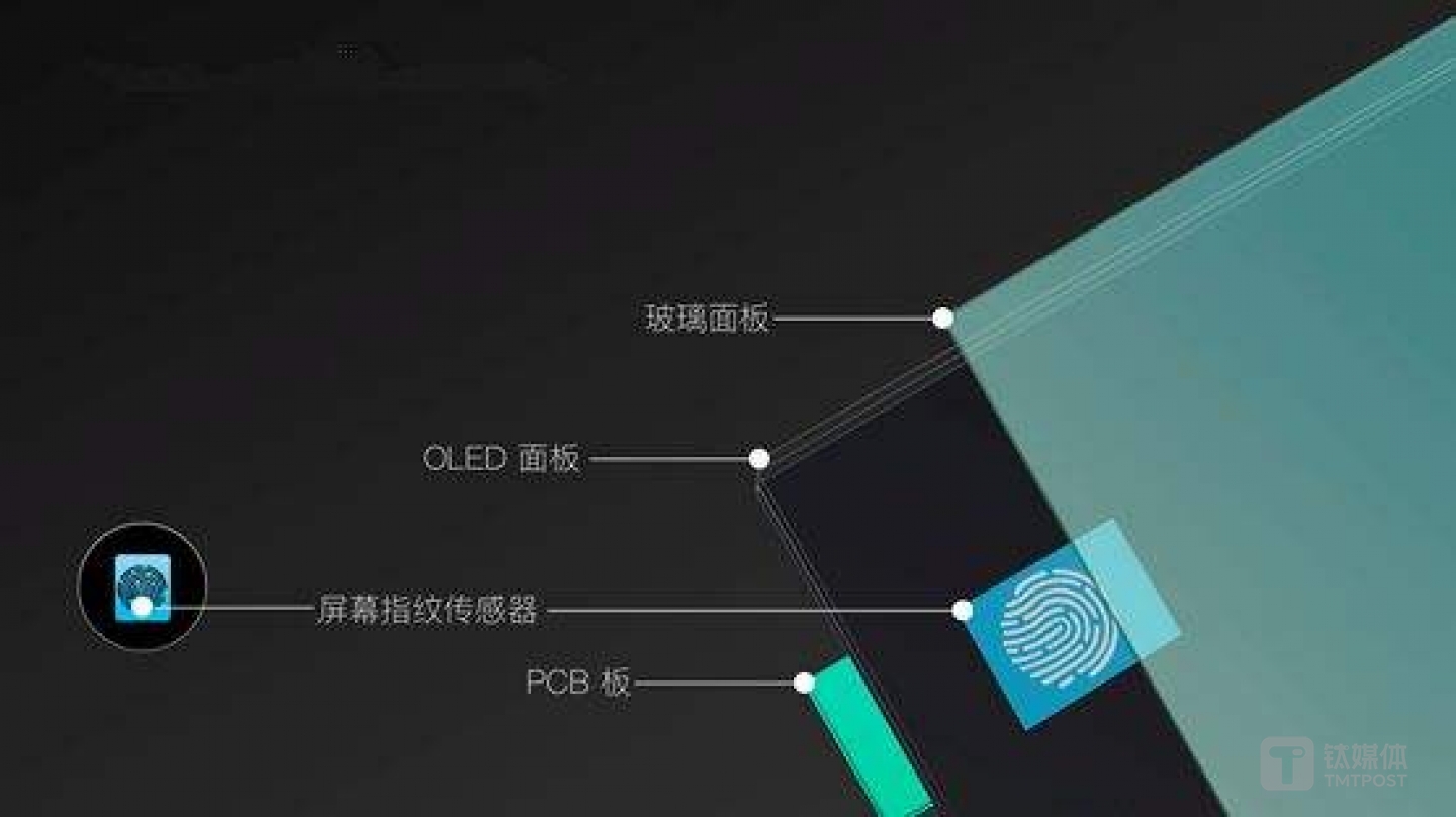屏下指纹结构图