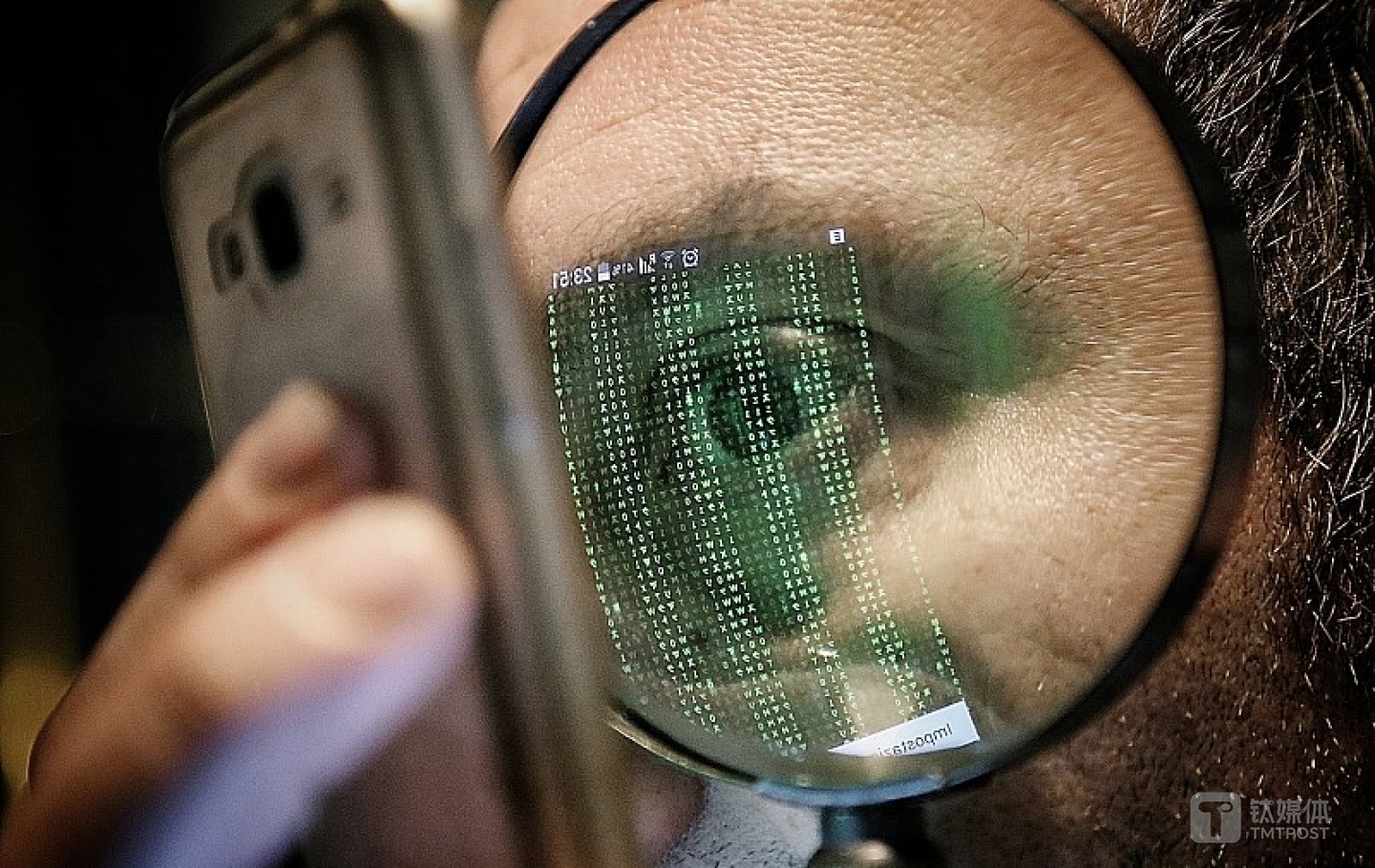 图片来源@视觉中国