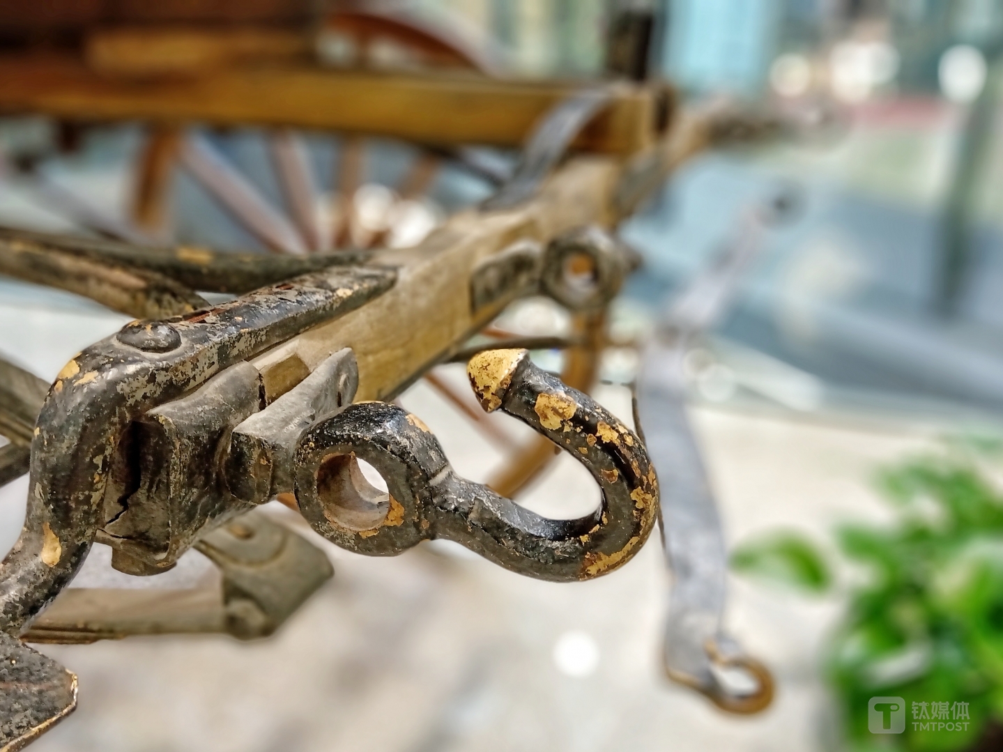 更多样张 焦距：mm 光圈：f/ 快门速度：1/s ISO: