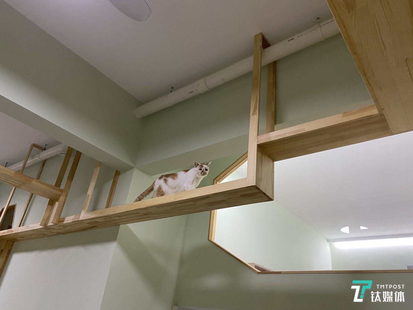 已經(jīng)14歲的“老太太 ”