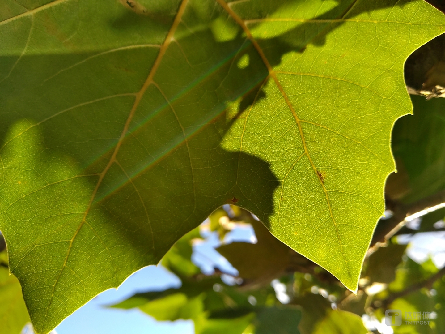 更多样片焦距：3.56mm 光圈：f/1.8 快门速度：1/s ISO: