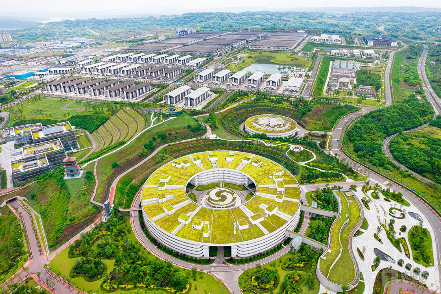 (图源:泸州老窖)