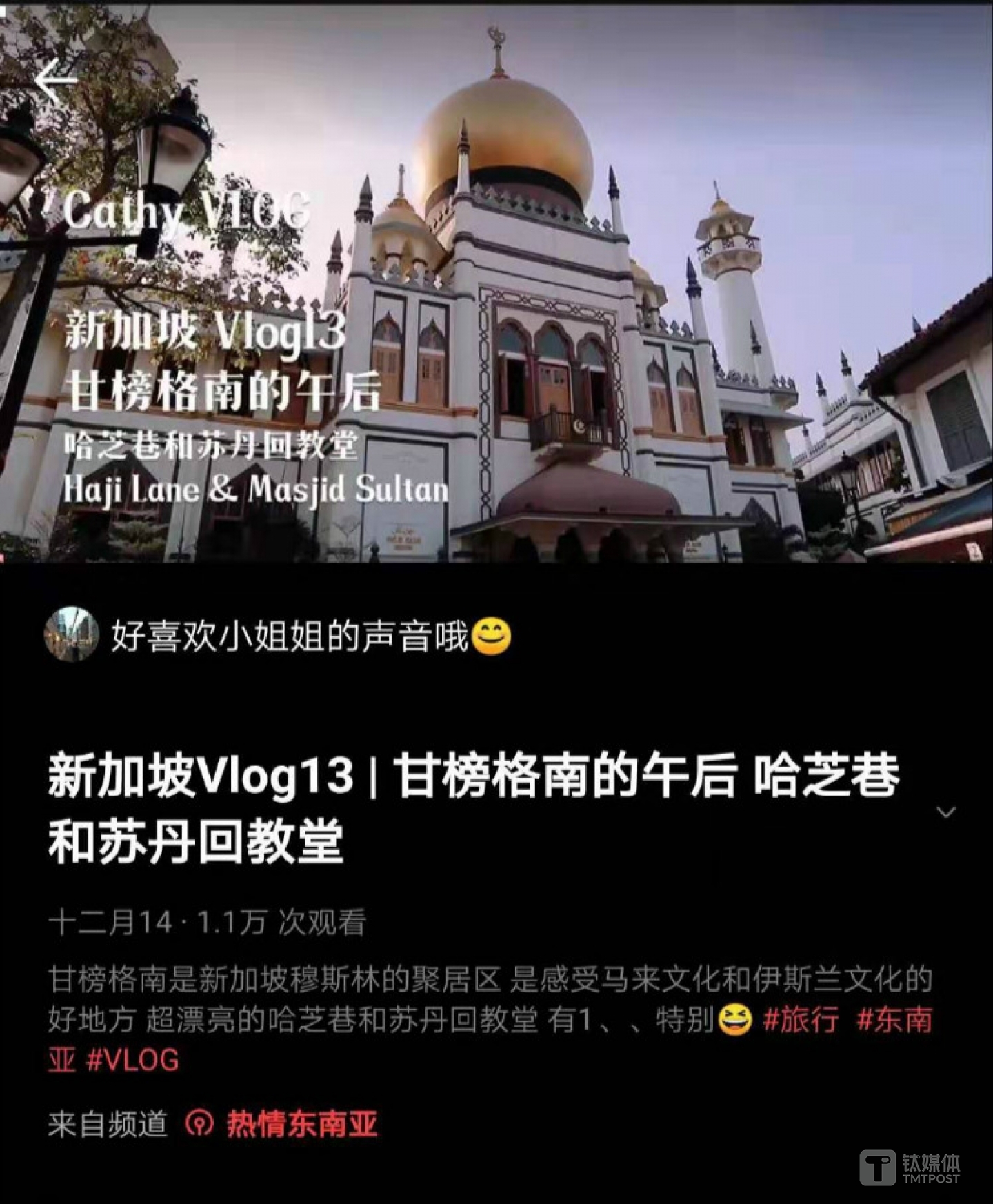 Vlog内容（来源VUE Vlog截图）
