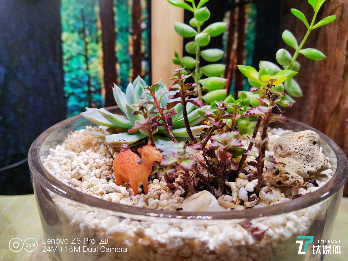 更多样张 焦距：4.28mm 光圈：f/1.8 快门速度：1/s ISO: