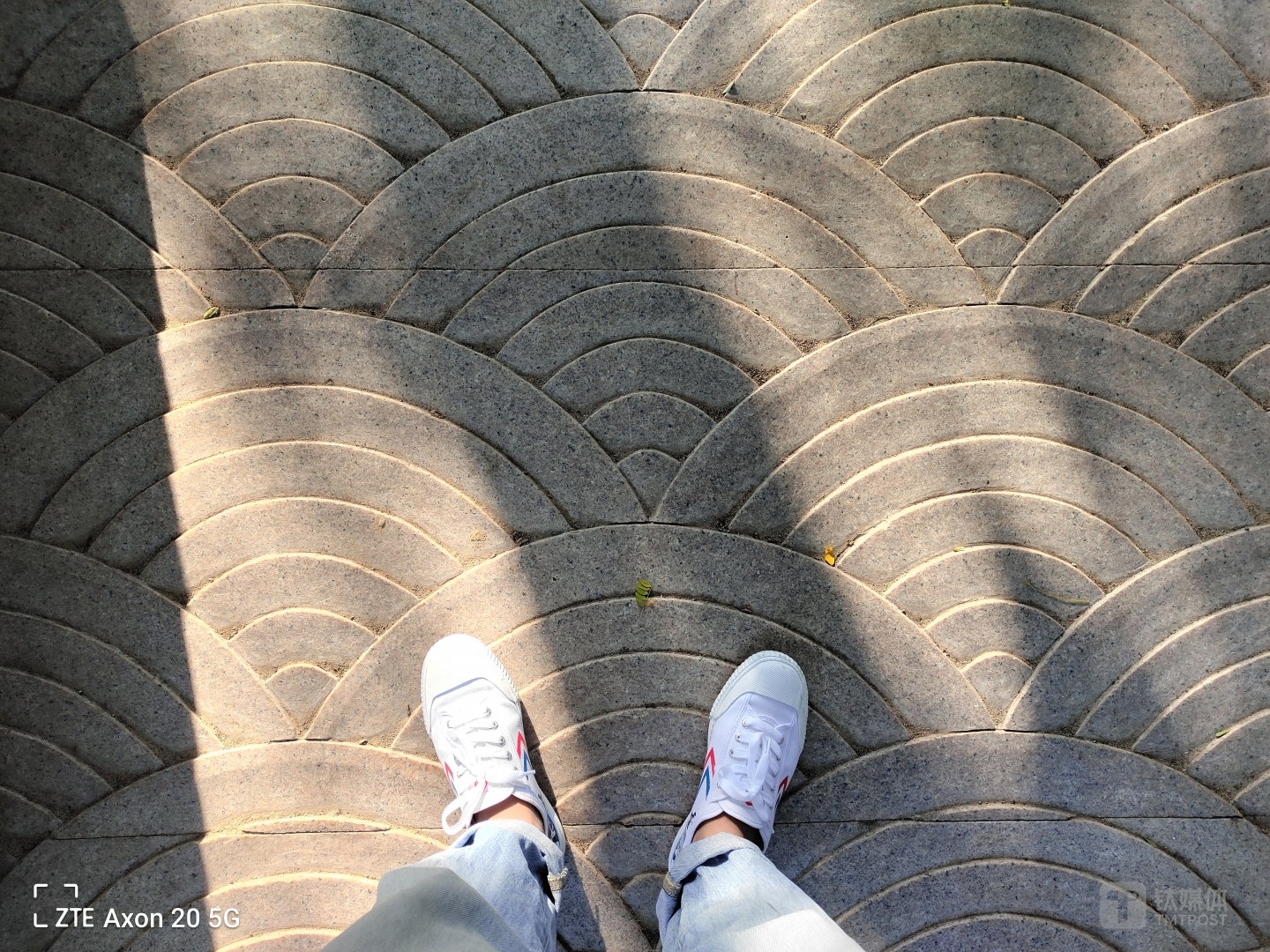 Axon 20 5G-主摄样张