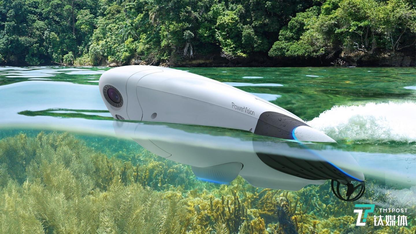 臻迪PowerDolphin小海豚