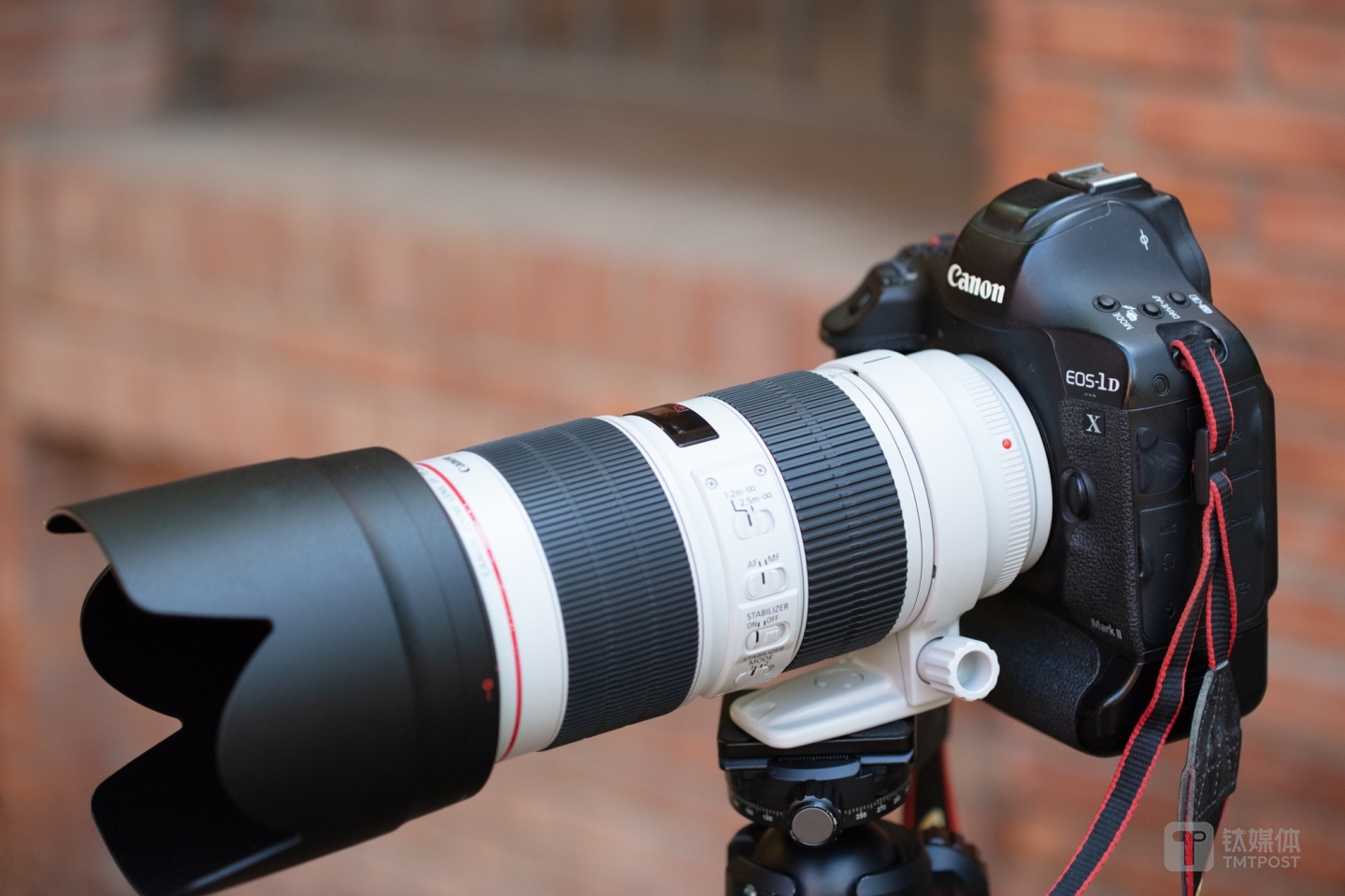 佳能EF 70-200mm f/2.8L IS III USM搭配EOS 1DX Mark II机身