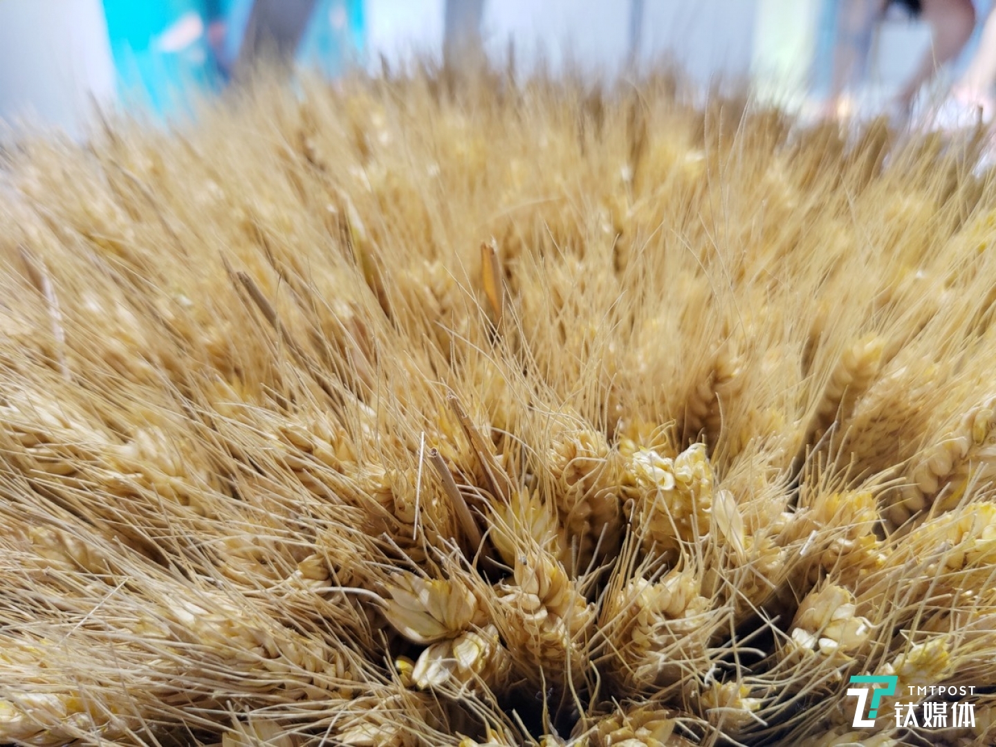 更多样张 焦距：2.11mm 光圈：f/2.4 快门速度：1/s ISO: