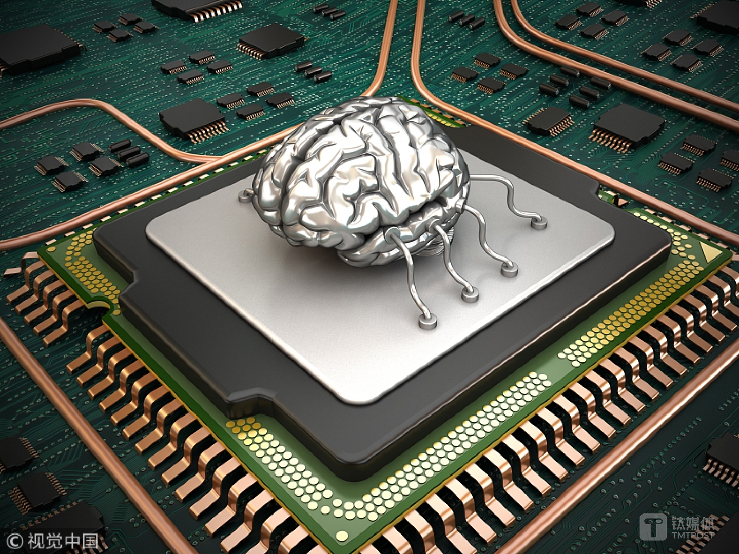 图片来源：视觉中国