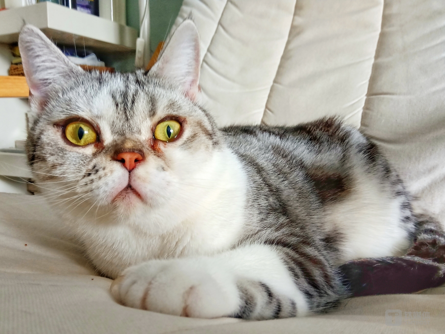 焦距：mm 光圈：f/ 快门速度：1/s ISO: