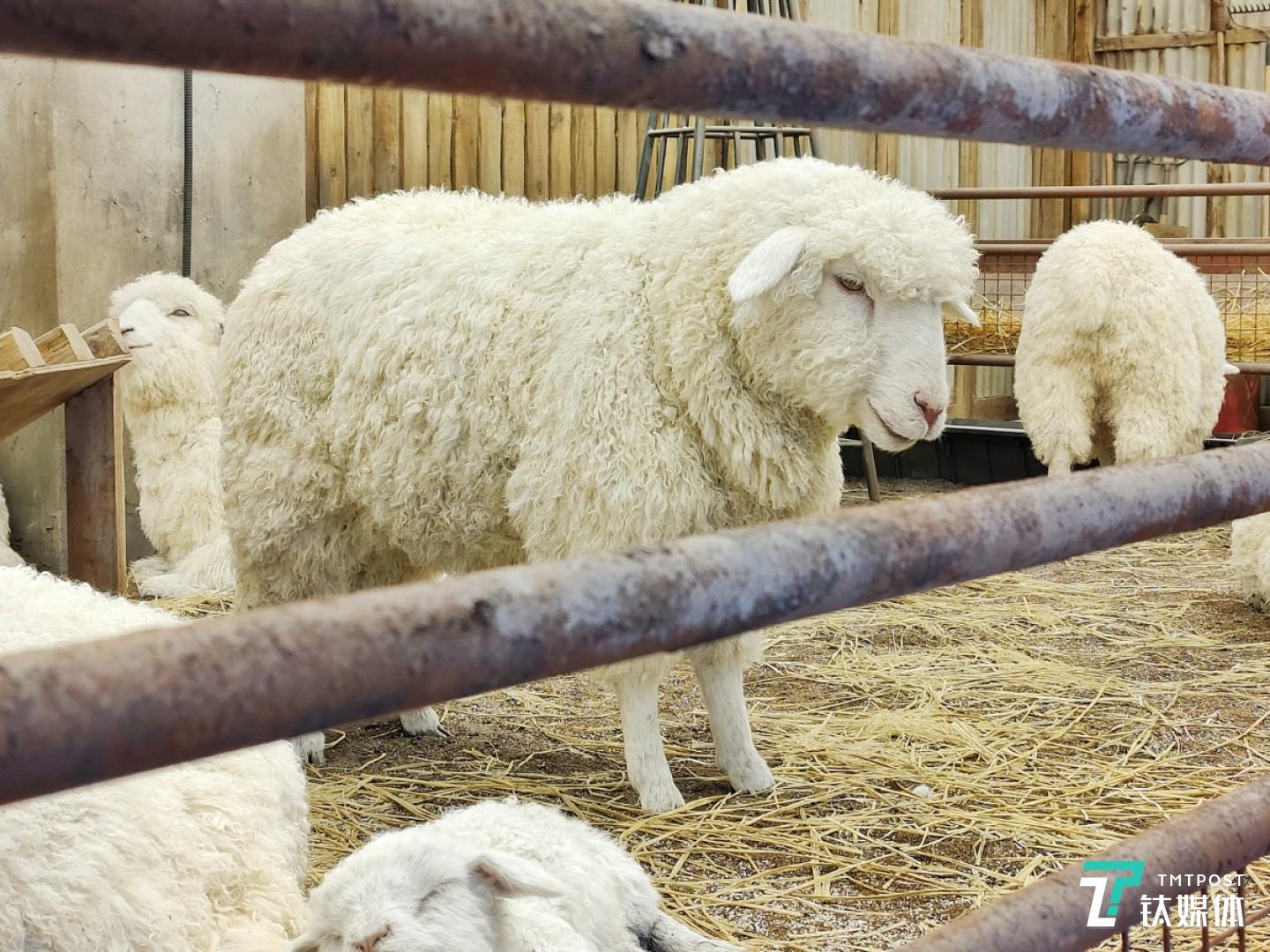 更多样张 焦距：mm 光圈：f/ 快门速度：1/s ISO: