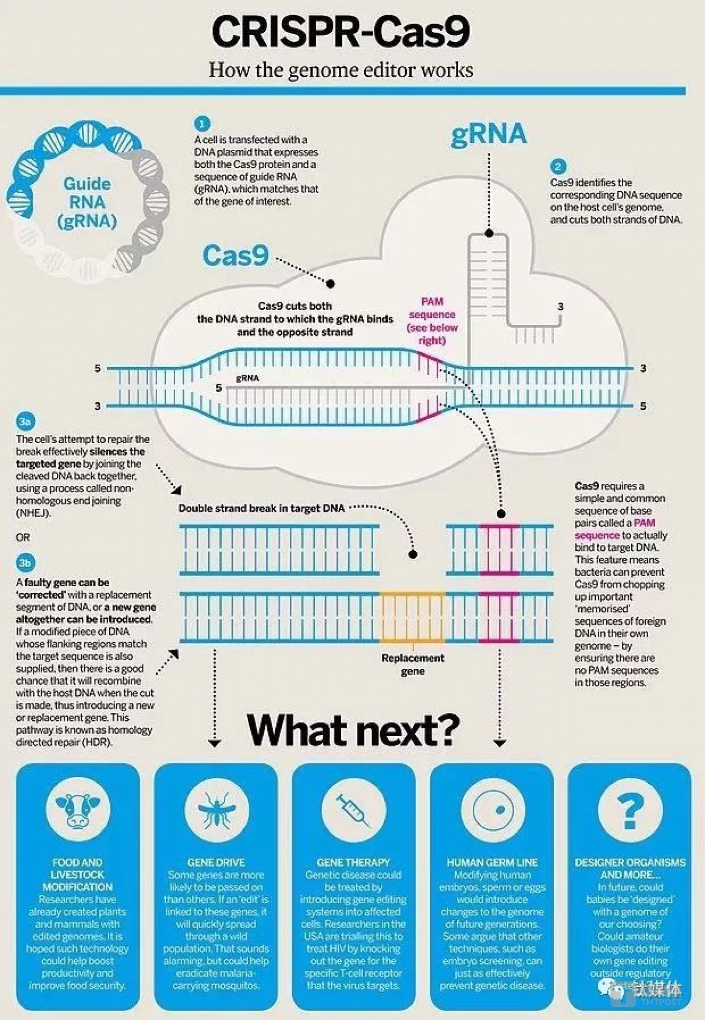 introduction of Source from Wikimedia Commons