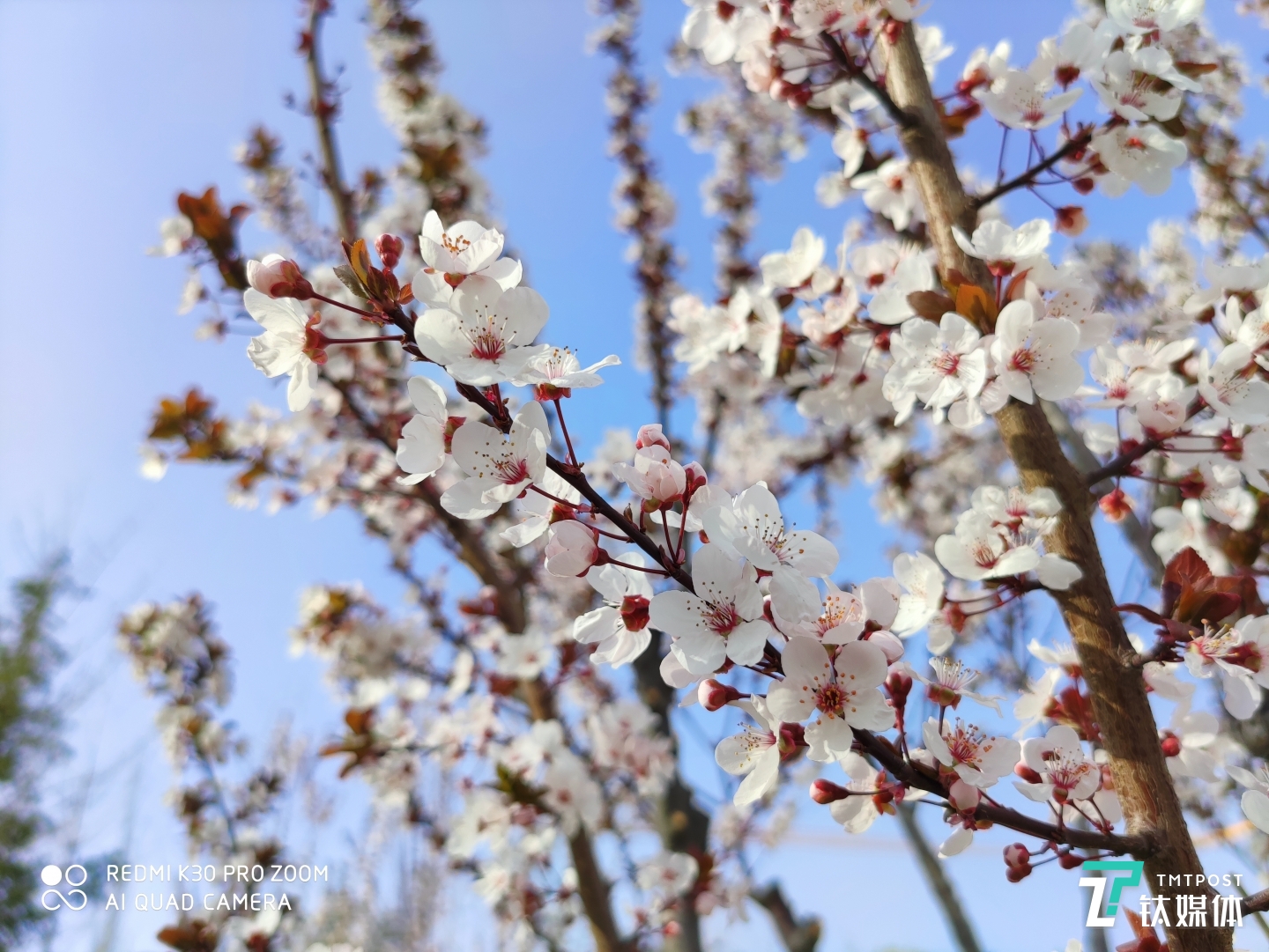 更多样张 焦距:5.58mm 光圈:f/1.6 快门:1/1000 ISO:50