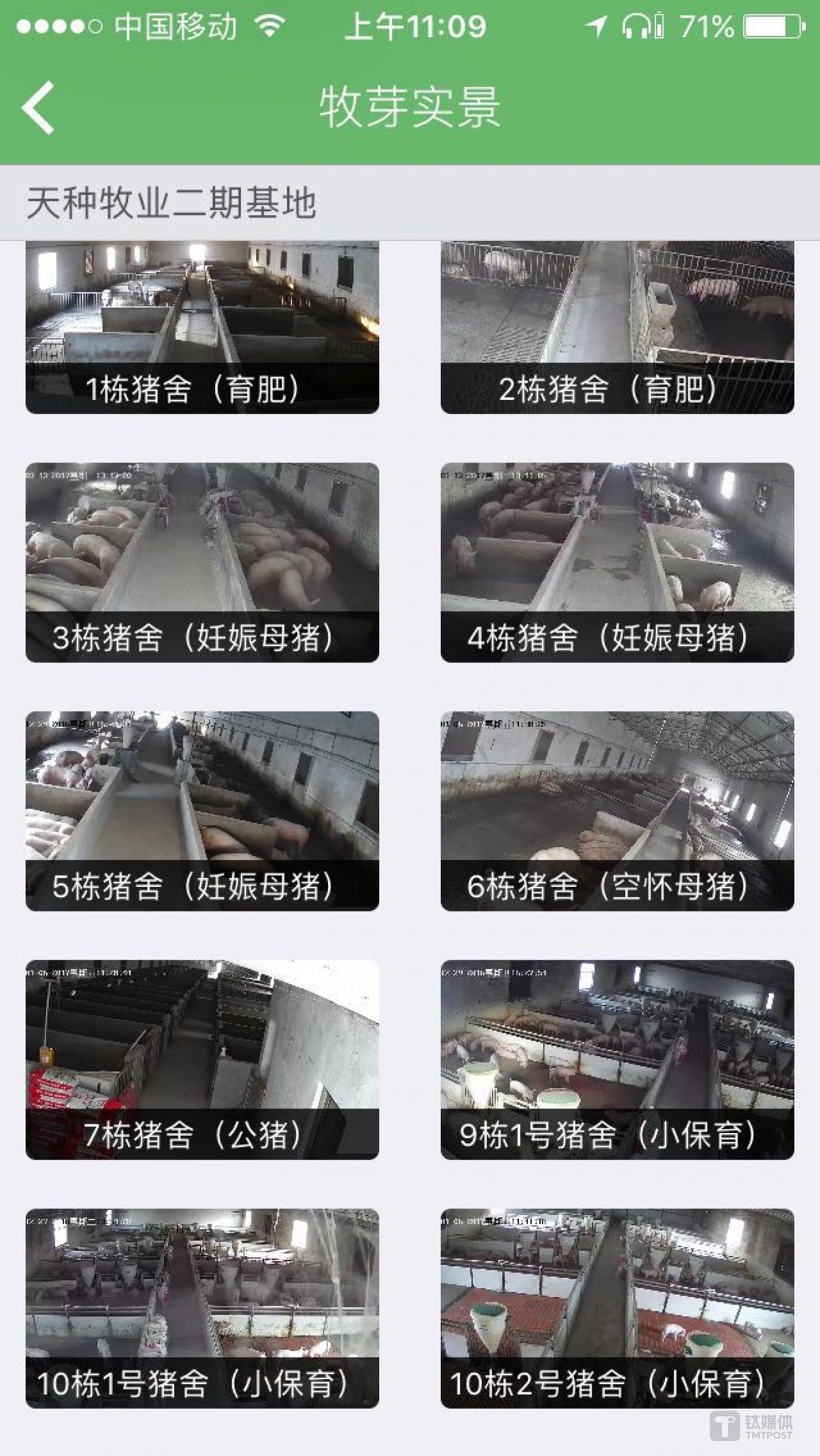 牧芽在每个猪舍都安装了监控，你可以随时在牧芽上观察猪舍情况。