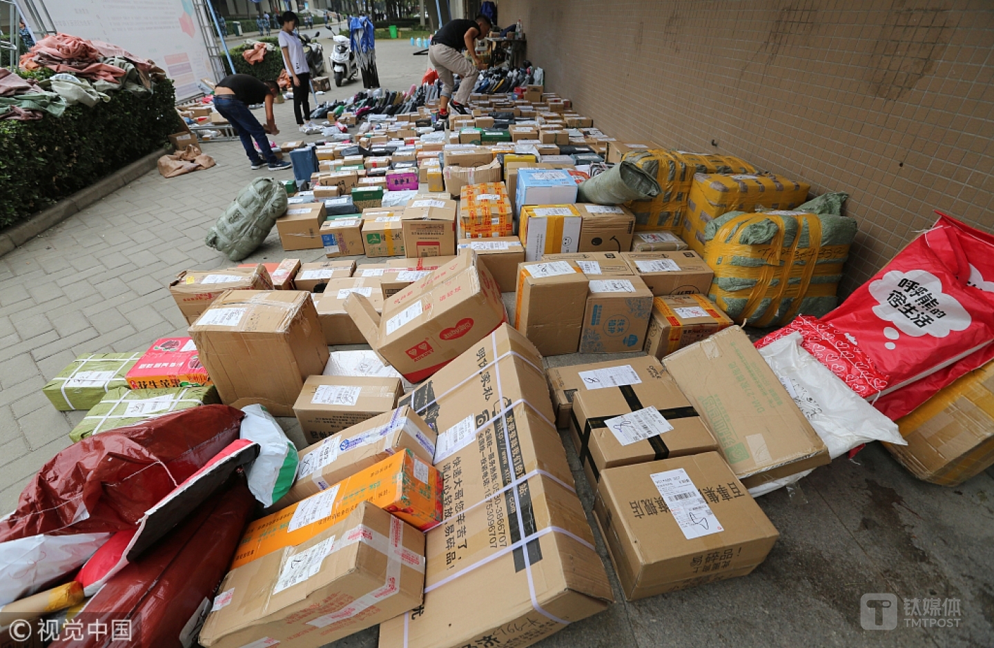 图片来源@视觉中国