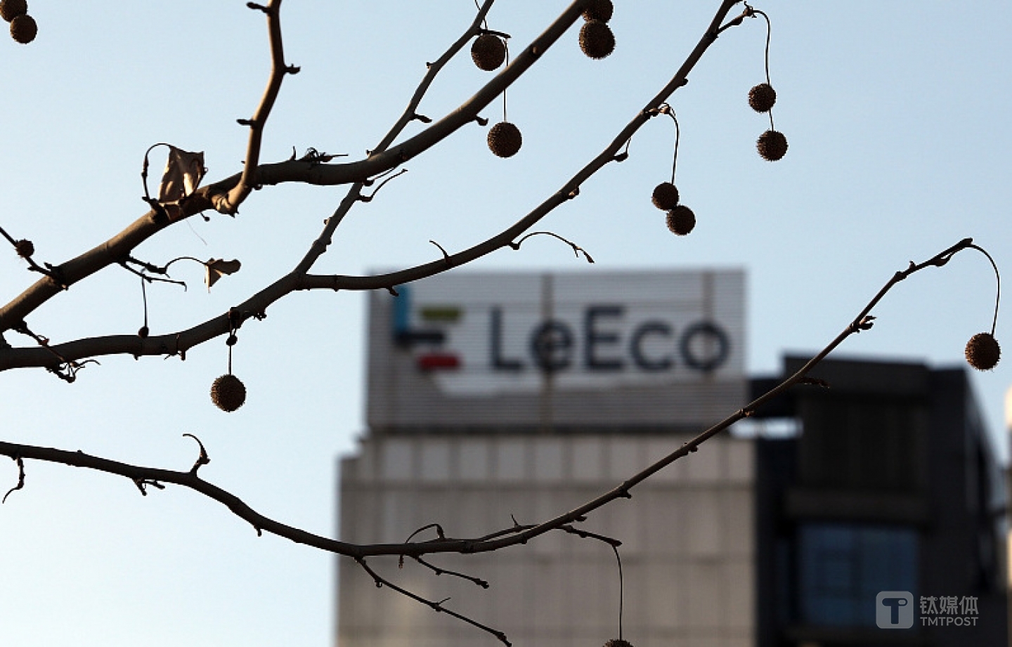 图片来源:视觉中国