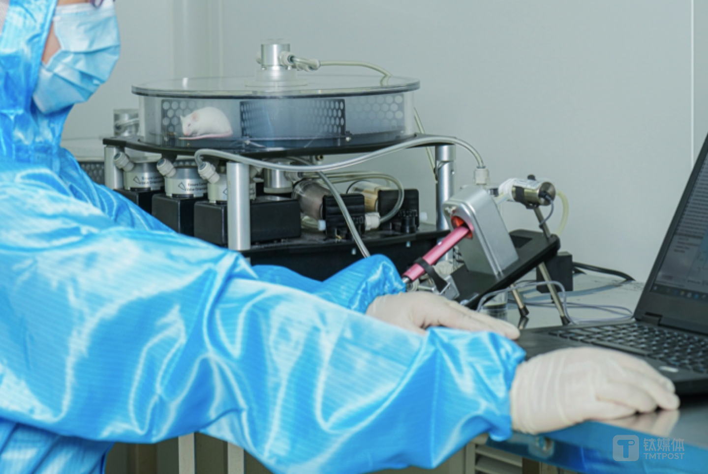 实验人员正将小鼠暴露在悦刻气溶胶环境下，进行气溶胶体内影响实验