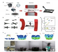 全新磁驱动高速软体机器人问世