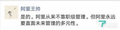 阿里取消P序列职级显示,王帅:阿里从不靠职级管理