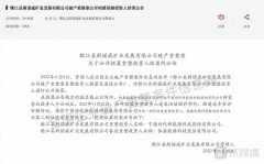宁德时代成为斯诺威公司重整投资人