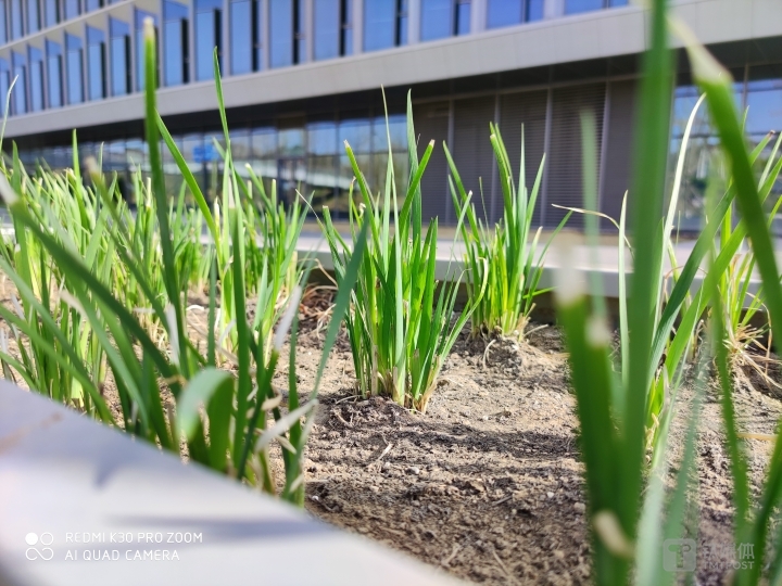 更多样张 焦距：5.58mm 光圈：f/1.6 快门：1/640 ISO：50